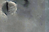Candidate Recent Impact Site