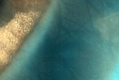 USGS Dune Database Entry Number 3515-596