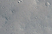 Elysium Planitia