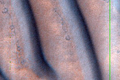 USGS Dune Database Entry Number 1363-696