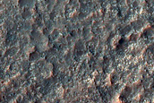 Patchy Outcrop of Light-Toned Materials