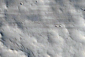 Tempe Terra