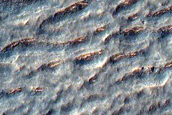 Scarp Monitoring