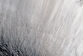 Viscous Flow