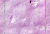 Seasonal Monitoring near Dorsa Argentea