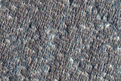 Candidate Recent Impact Site