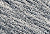 Landforms near Amazonis Mensa