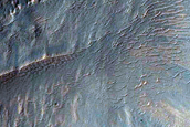 Well-Preserved Gullied Impact Crater