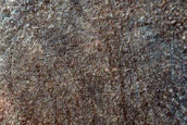 USGS Dune Database Entry Number 0354-657
