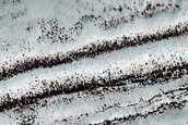 South Polar Residual Cap Site