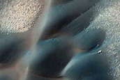 USGS Dune Database Entry Number 1886-536
