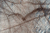 Ridged Terrain