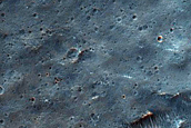 Tyrrhenus Labyrinthus