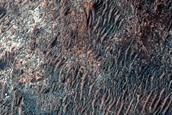 Light and Dark-Toned Intra-Crater Terrain in Terra Sabaea