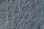 Gully Monitoring
