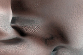 Dune Monitoring in Crater