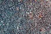 Pitted Cones in Chryse Planitia