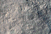 Gully Monitoring