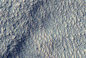 Scarp Monitoring