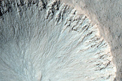 Gully Monitoring