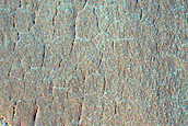 Possible Expanded Craters in Utopia Planitia