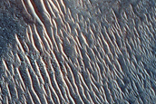 Dune Monitoring