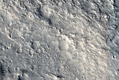 Searching for Dust Devil Tracks in Gusev Crater