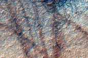 Gully Monitoring