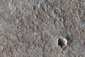 Monitoring New Impact Site