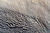 Gully Monitoring in Chincoteague Crater