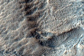 Crater Floor in Hellas Planitia