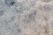 Small South Polar Layered Deposits Crater Seasonal Monitoring