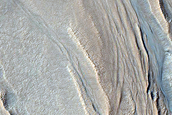 Gully Monitoring