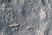 Gully Monitoring