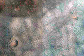 USGS Dune Database Entry Number 1188-690