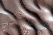 Dune Monitoring in Milankovic Crater