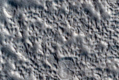 Terrain Sample
