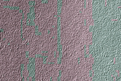South Polar Residual Cap Intraseasonal Change Monitoring