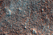 Terrain Sample