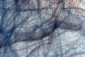 Dark Filamentary Streak Year-Round Monitor Site in Promethei Region