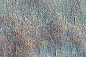 Contact in Utopia Planitia