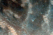Dune Monitoring