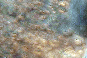 USGS Dune Database Entry Number 2216-694