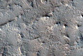 Lucus Planum