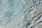 Gully and Scarp Monitoring