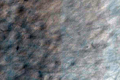 USGS Dune Database Entry Number 1115-656