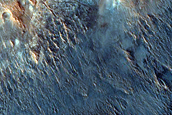 Crater-Delineating Mounds in Chryse Planitia