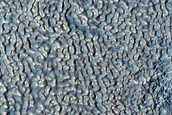 Brain Terrain on Floor of Crater in Claritas Fossae