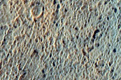 Branched Valleys North of Kepler Crater