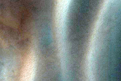 USGS Dune Database Entry Number 3526-742